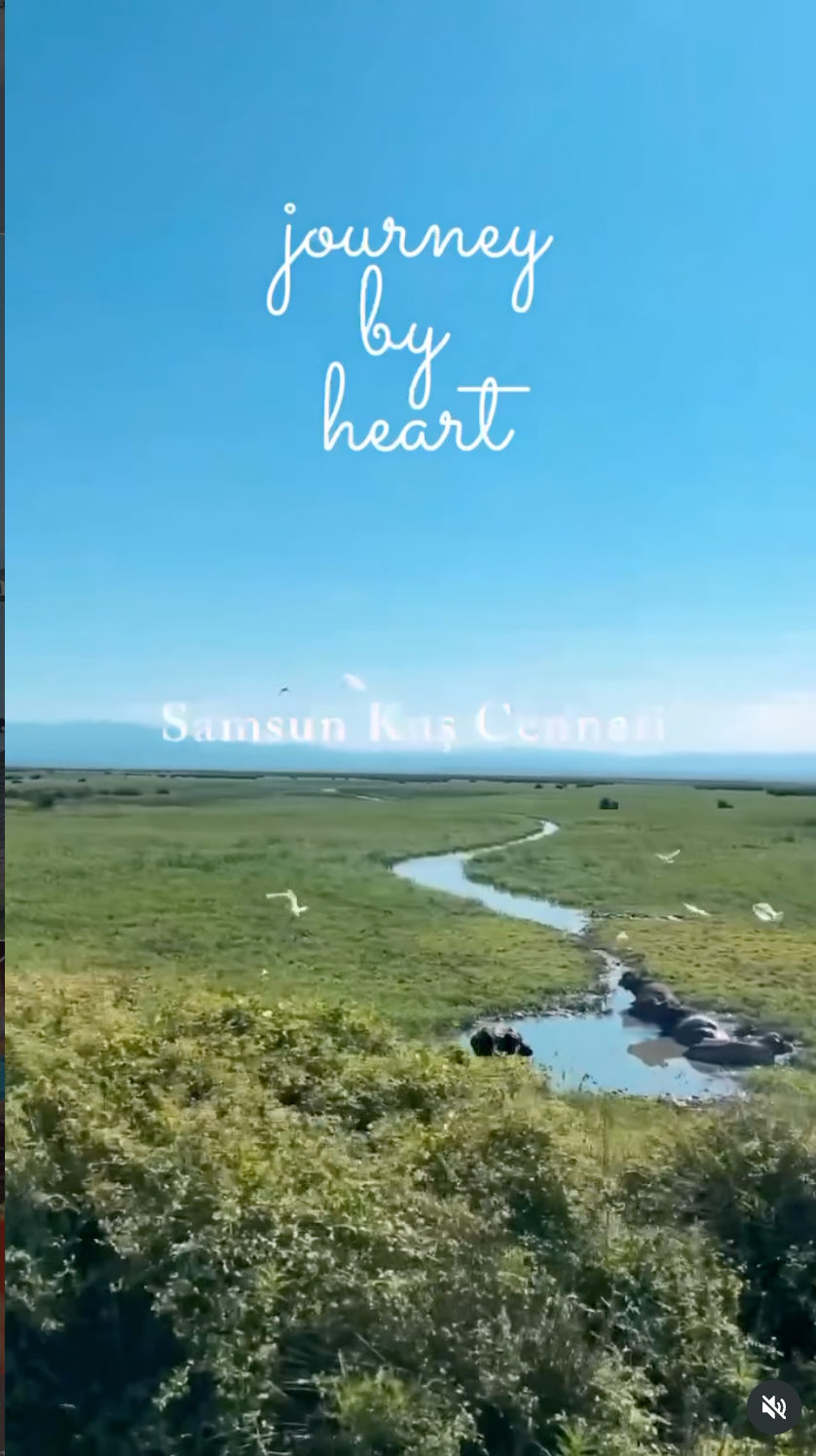 Samsun Kuş Cenneti