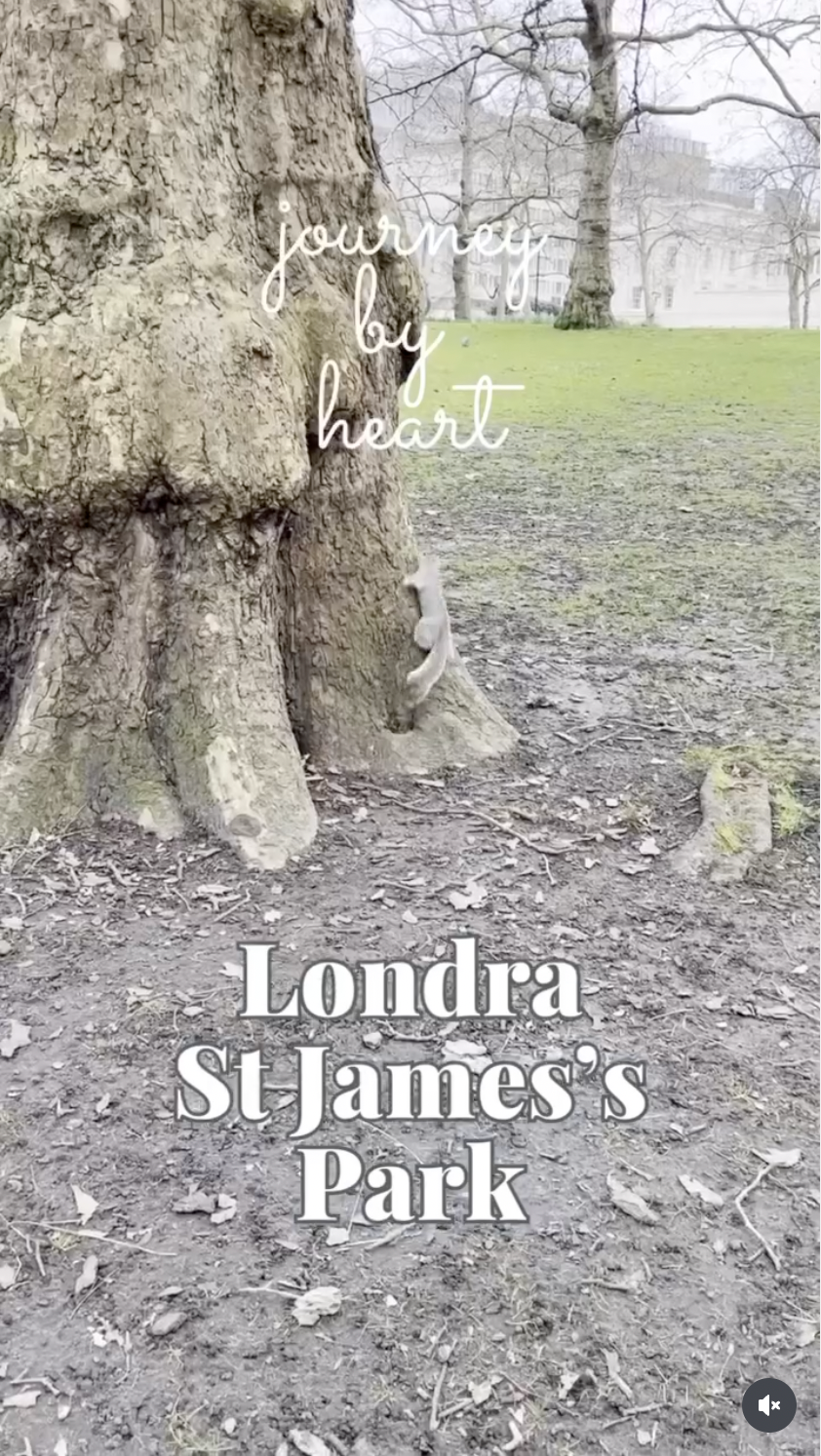 St James Park