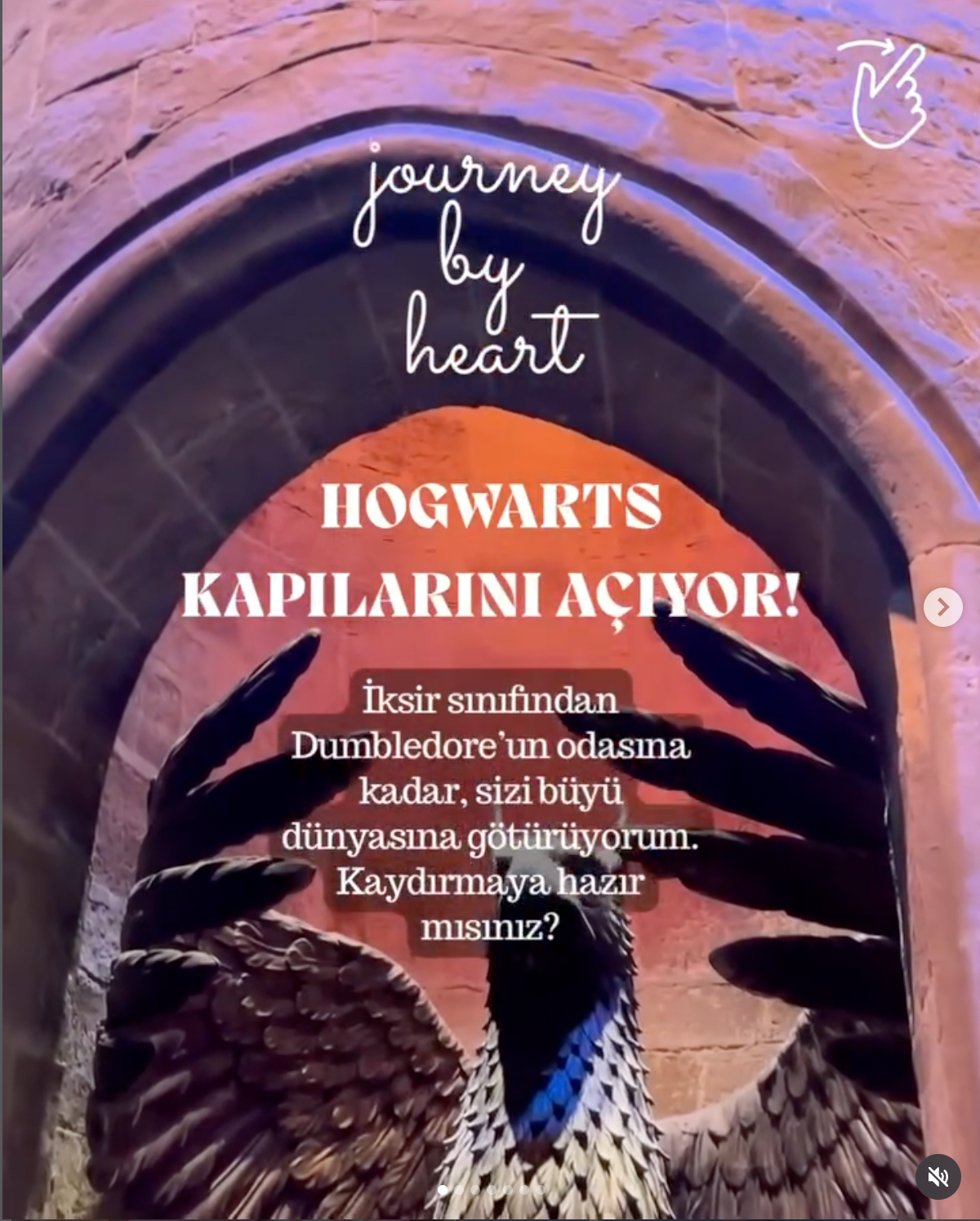 Harry Potter Stüdyosu