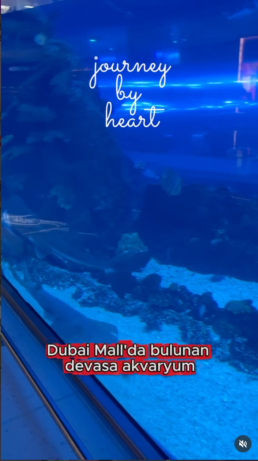 Dubai Mall Akvaryum